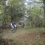 Reiterhof Wollesen 3* Süderlügum