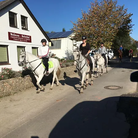 Reiterhof Wollesen 3* Süderlügum