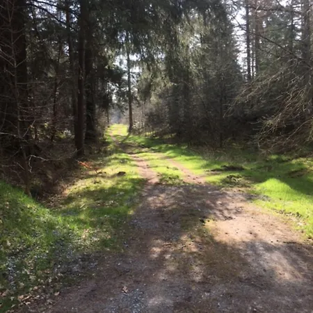 Reiterhof Wollesen 게스트하우스