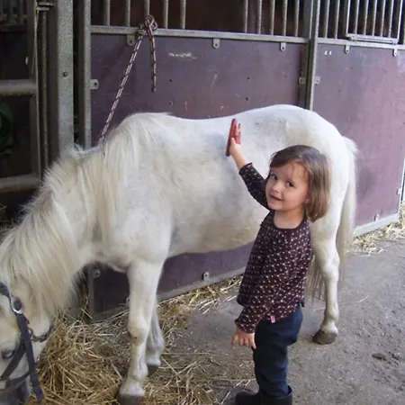 Pensjonat Reiterhof Wollesen Süderlügum
