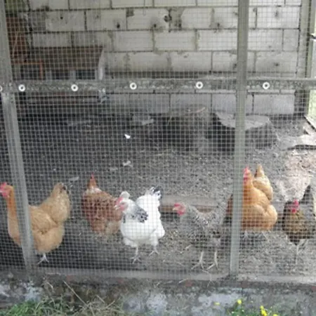 Reiterhof Wollesen 3*