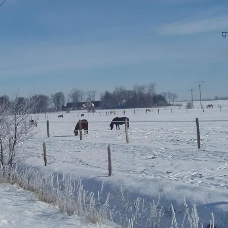 Pensjonat Reiterhof Wollesen Süderlügum