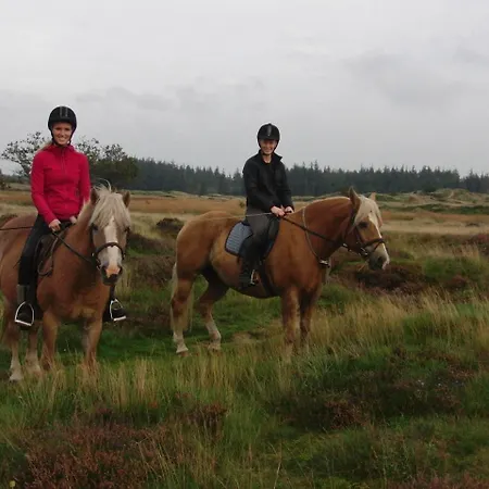 Reiterhof Wollesen Süderlügum