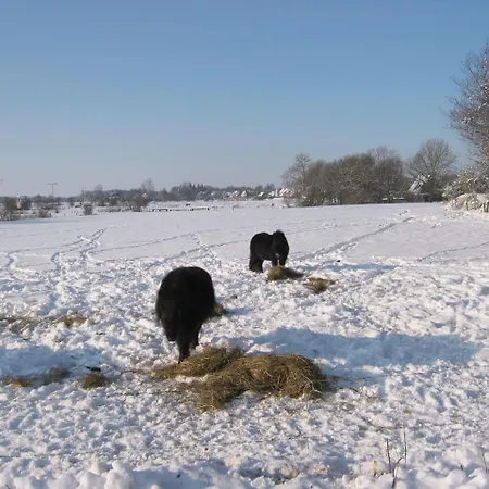 Penzion Reiterhof Wollesen 3*