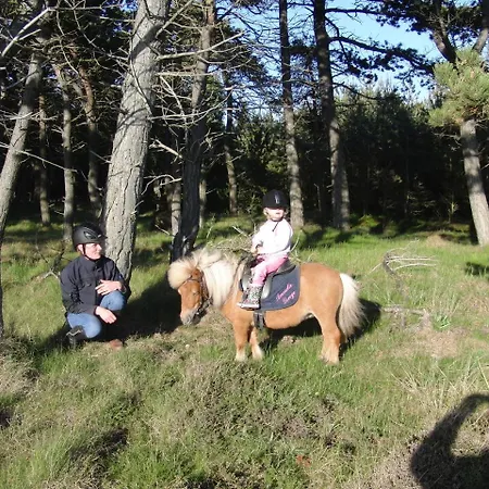 게스트하우스 Reiterhof Wollesen