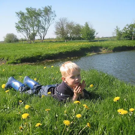 게스트하우스 Reiterhof Wollesen 3*