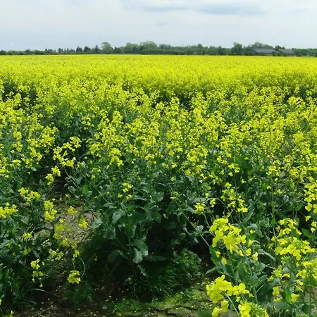 Pensjonat Reiterhof Wollesen