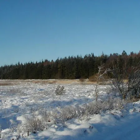 Pensjonat Reiterhof Wollesen Süderlügum