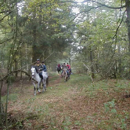 Reiterhof Wollesen 3* Süderlügum