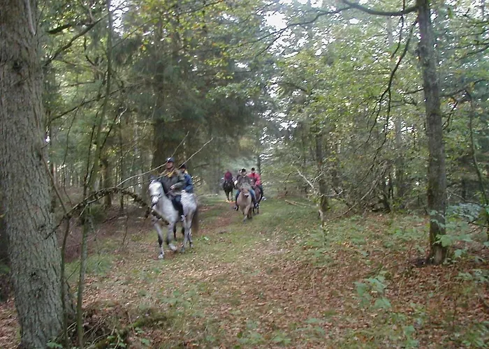 Reiterhof Wollesen 3* Süderlügum
